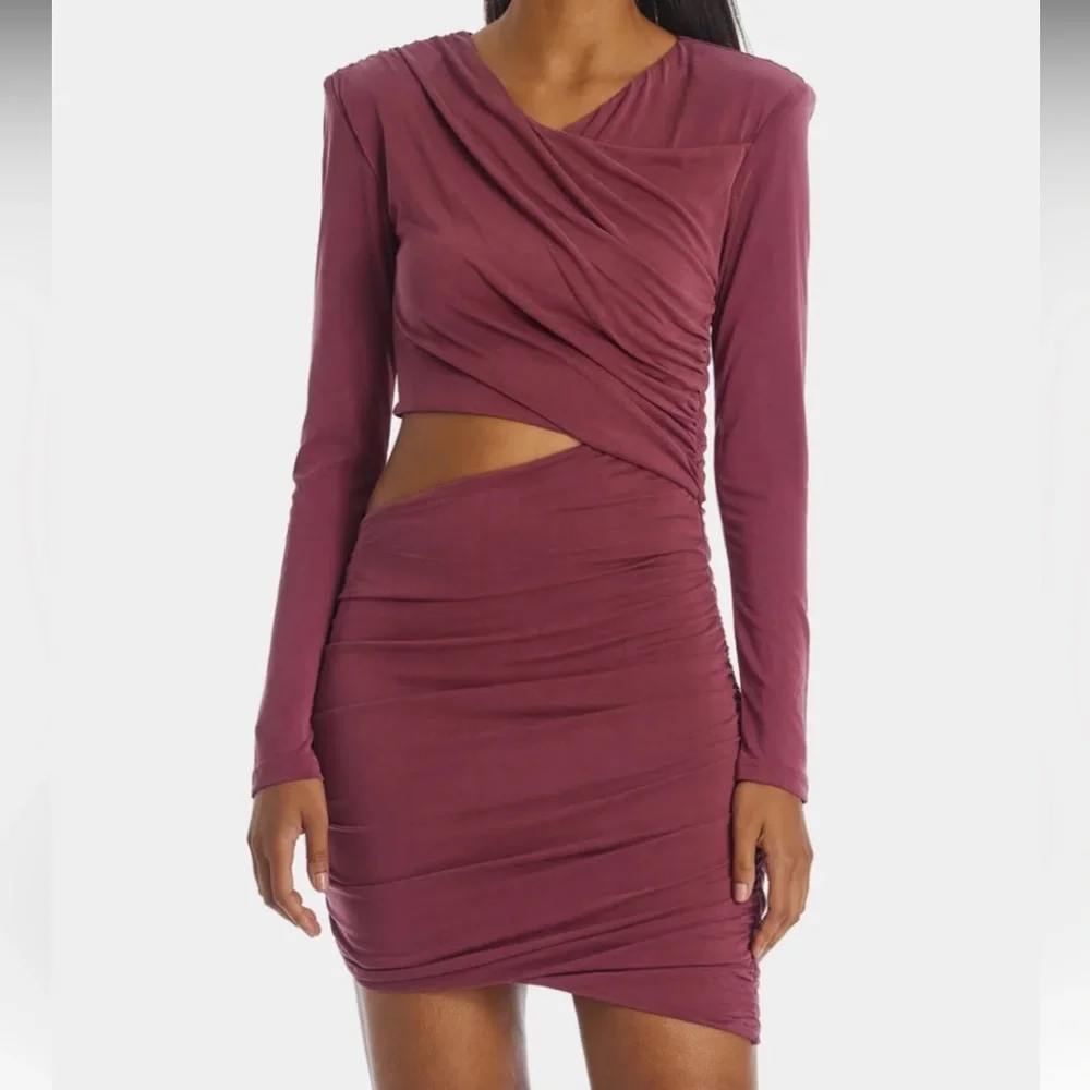 Bardot Rosa Ruched Mini Dress - Picture 6 of 6